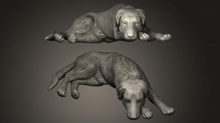 3D model dogs lies sits (STL)